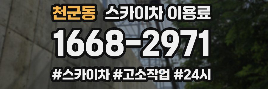 천군동 스카이차 이용료