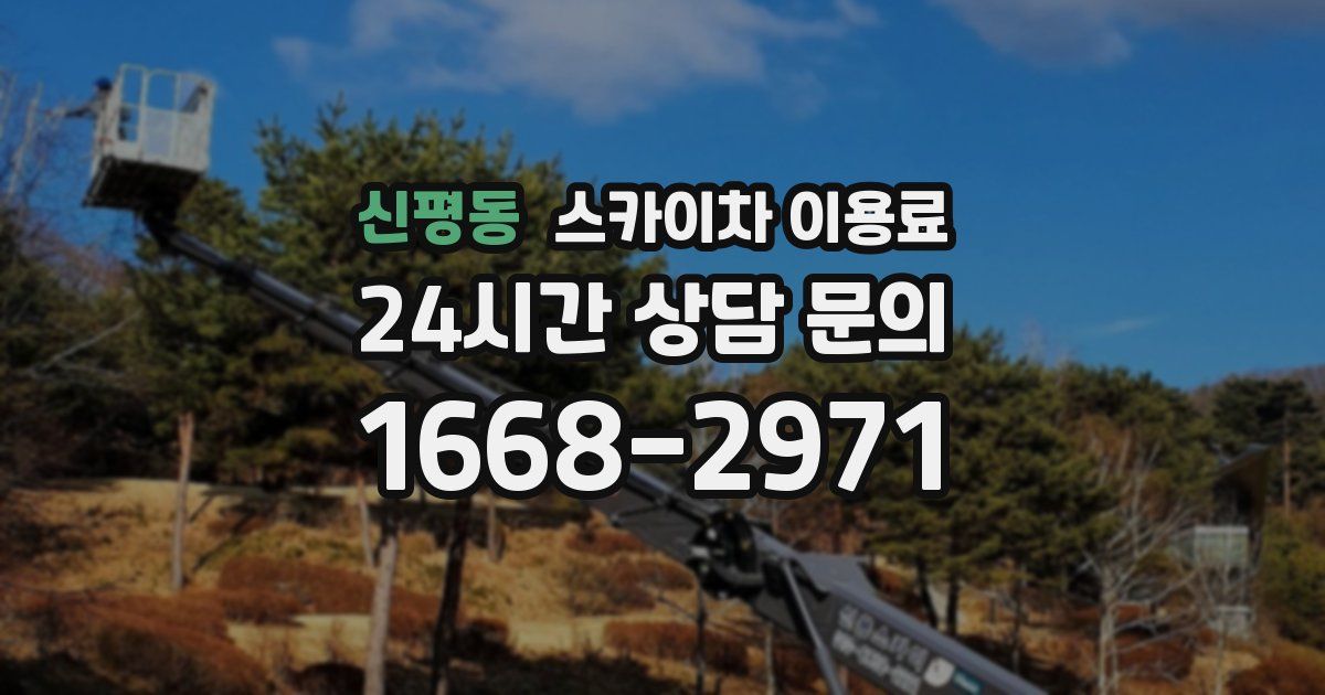 신평동 스카이차 이용료