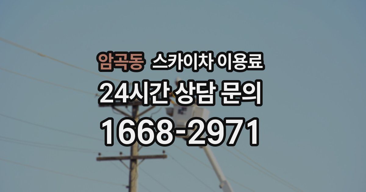 암곡동 스카이차 이용료