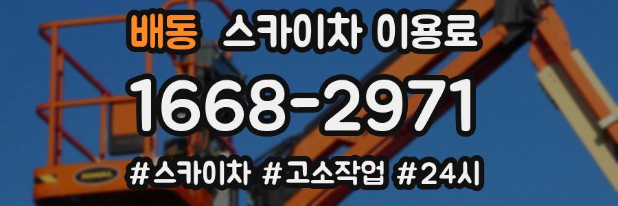 배동 스카이차 이용료