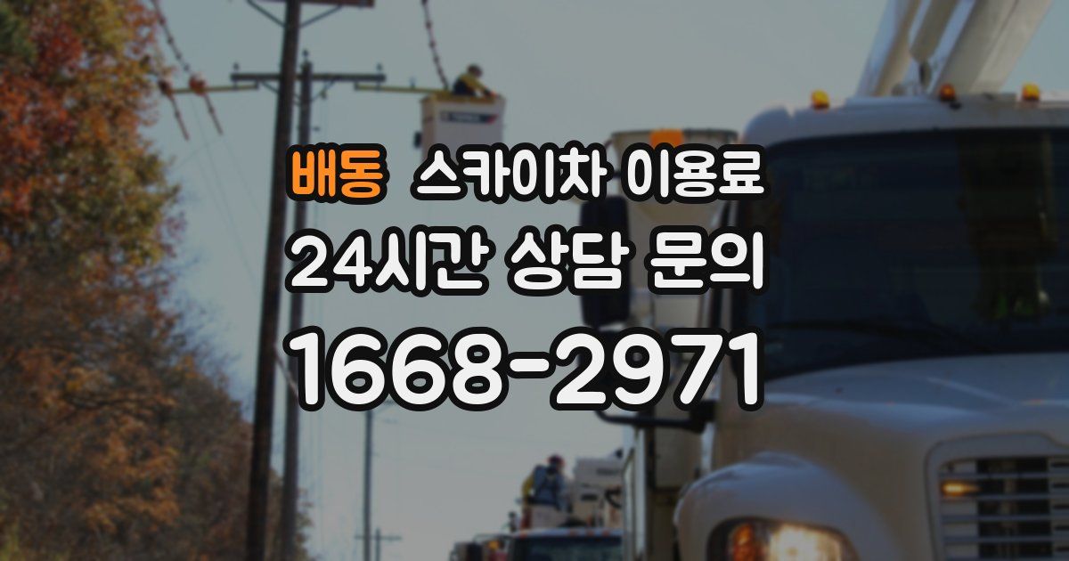 배동 스카이차 이용료