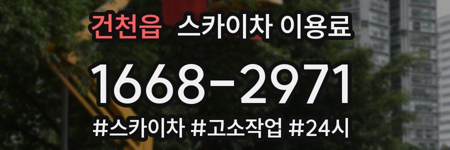 건천읍 스카이차 이용료