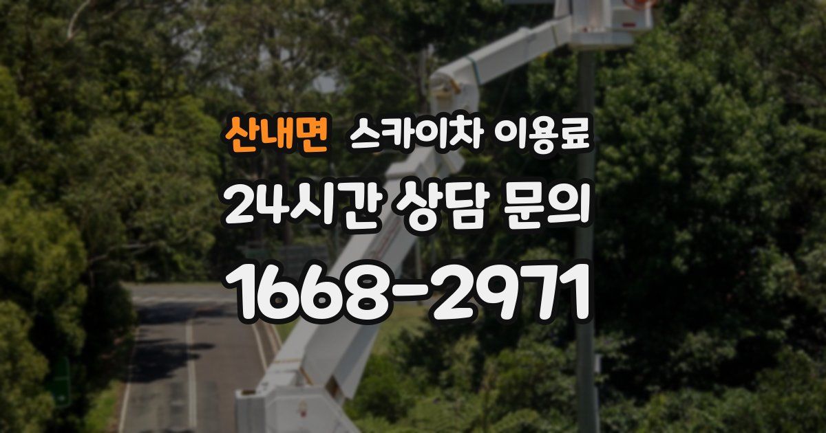 산내면 스카이차 이용료
