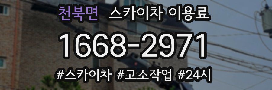 천북면 스카이차 이용료