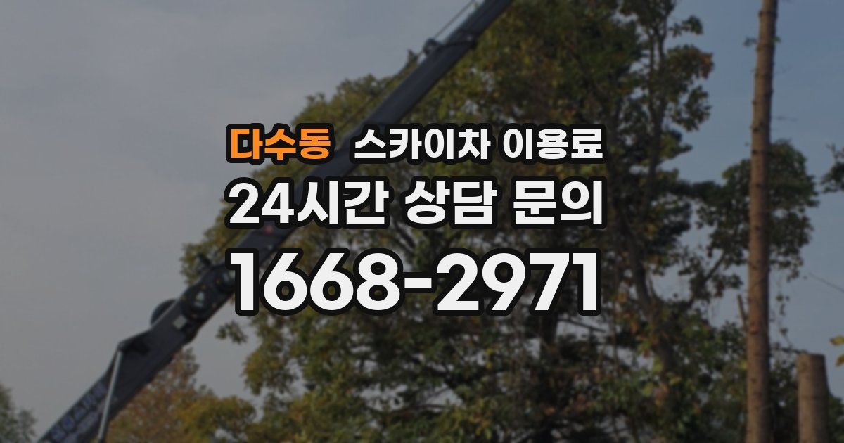 다수동 스카이차 이용료
