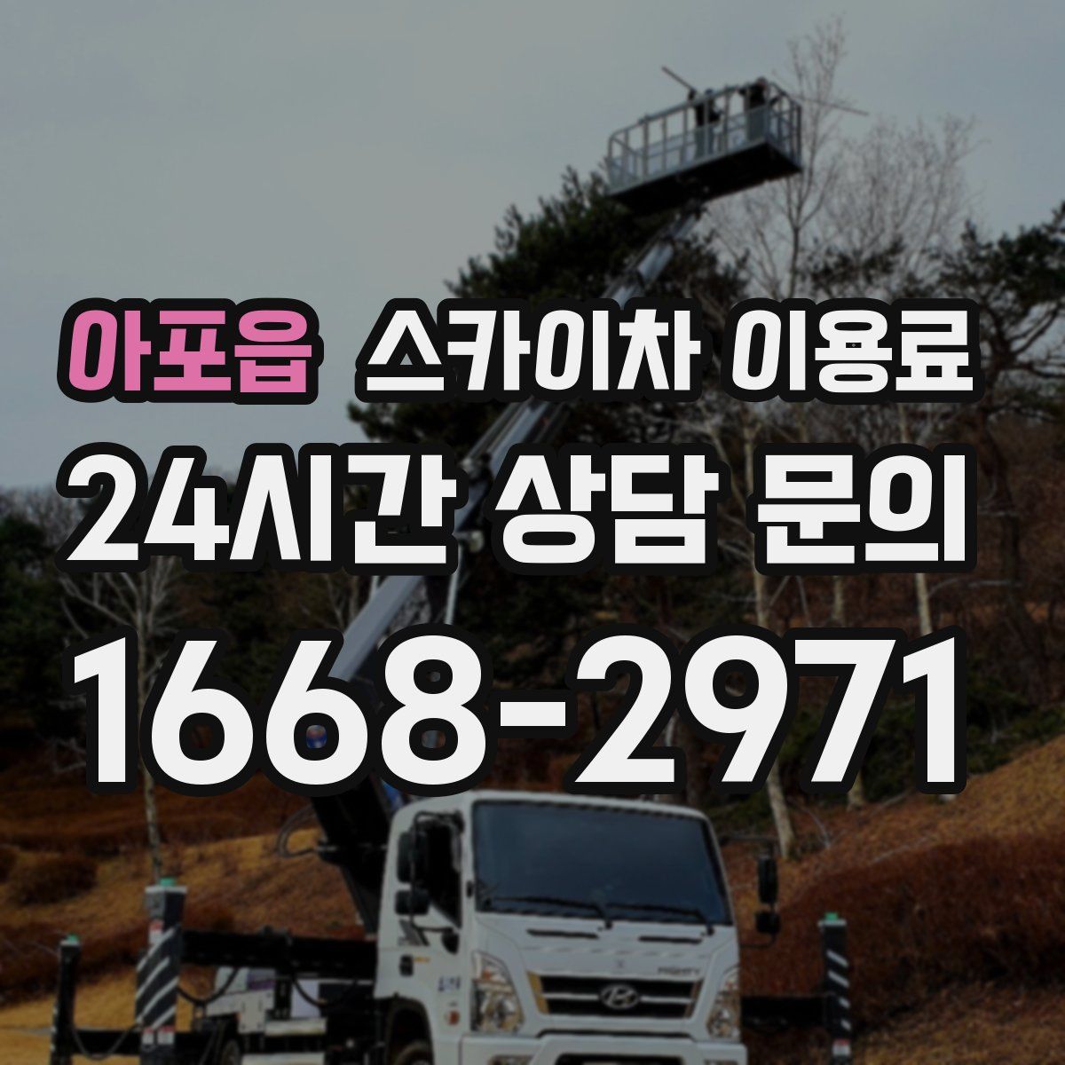 아포읍 스카이차 이용료