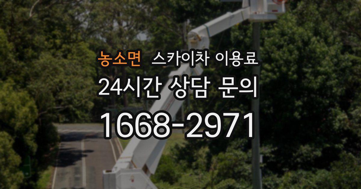 농소면 스카이차 이용료