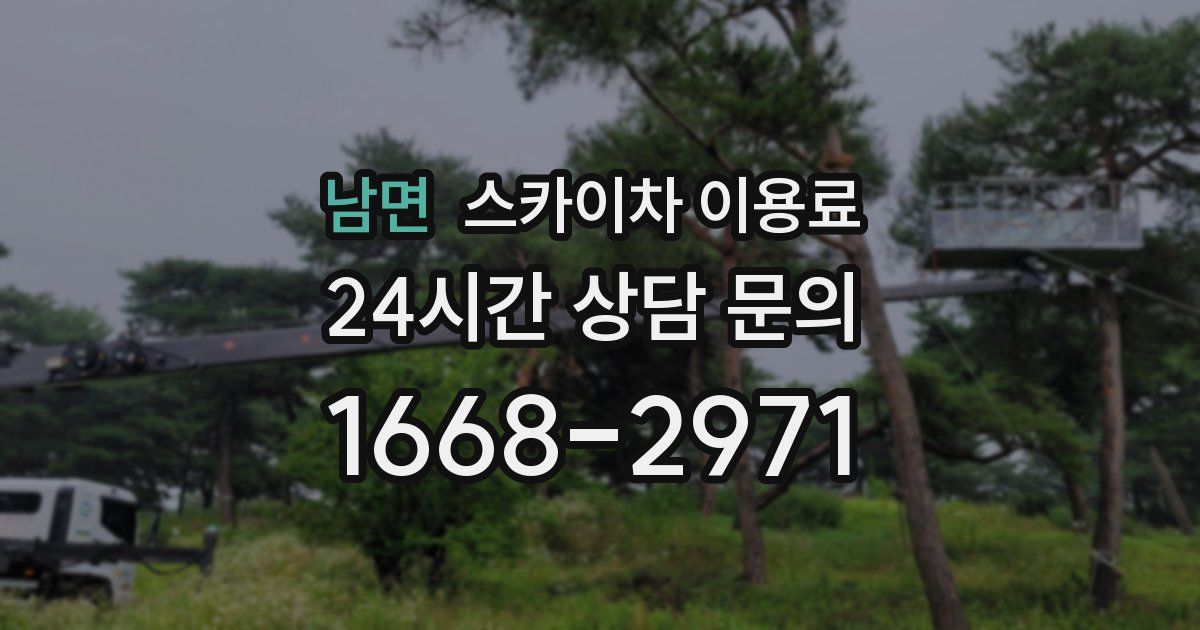 남면 스카이차 이용료