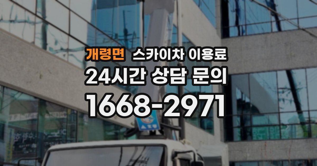 개령면 스카이차 이용료