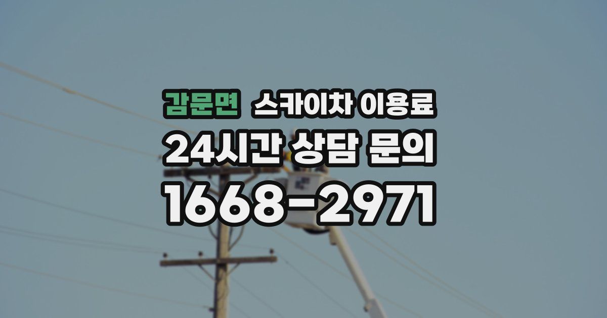 감문면 스카이차 이용료