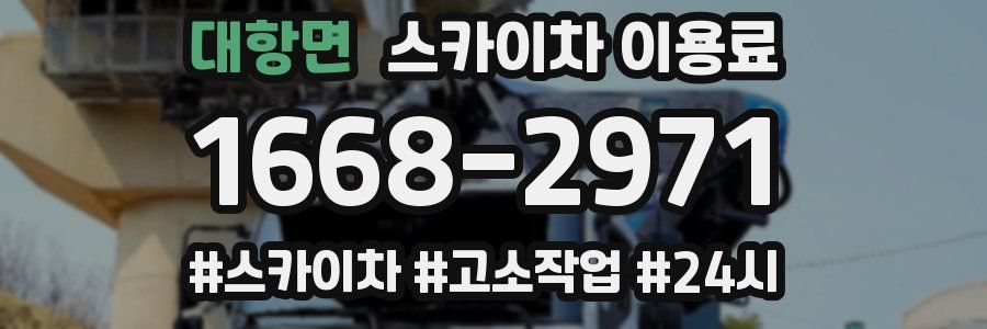 대항면 스카이차 이용료