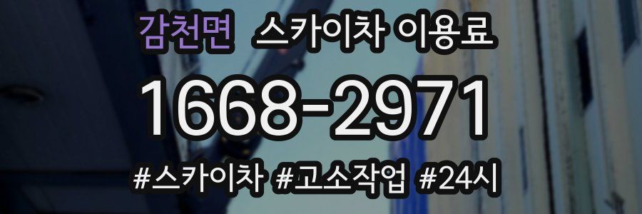 감천면 스카이차 이용료