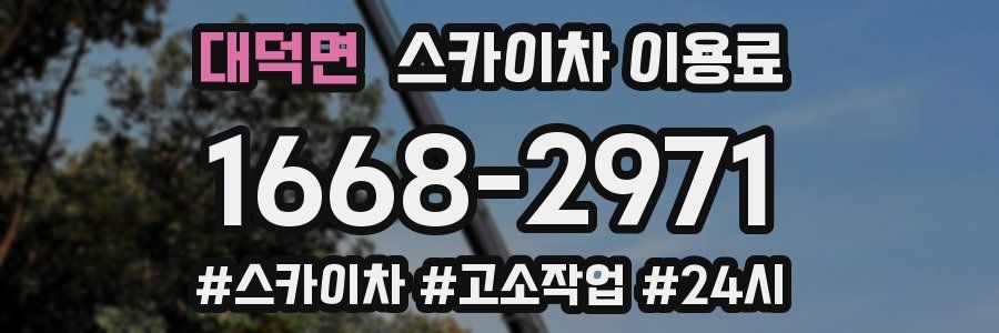 대덕면 스카이차 이용료