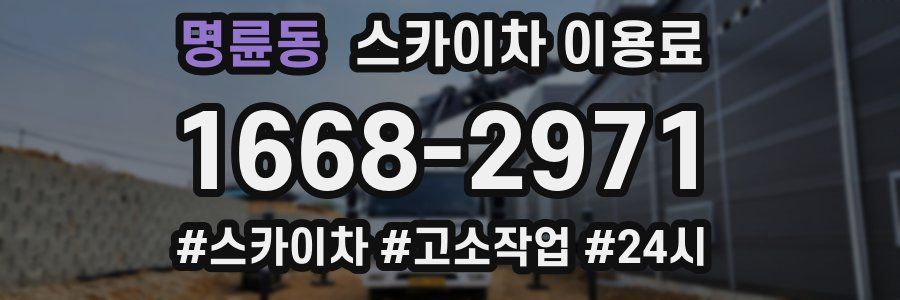 명륜동 스카이차 이용료