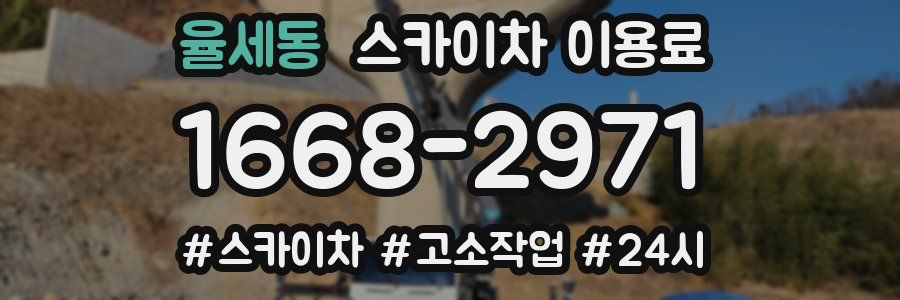 율세동 스카이차 이용료