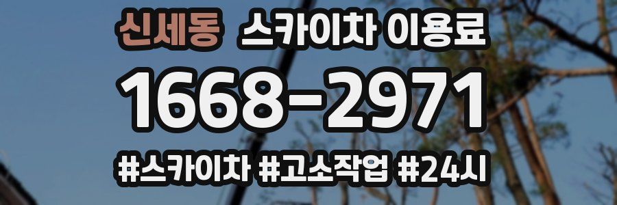 신세동 스카이차 이용료