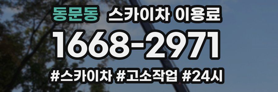 동문동 스카이차 이용료