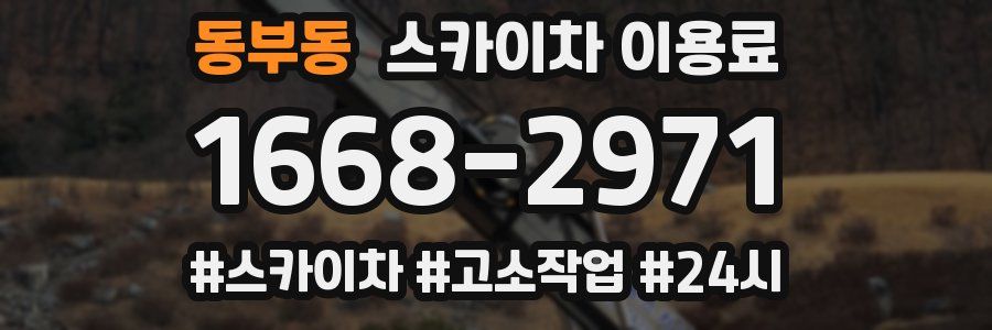 동부동 스카이차 이용료