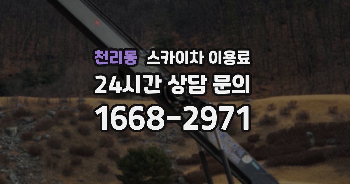 천리동 스카이차 이용료