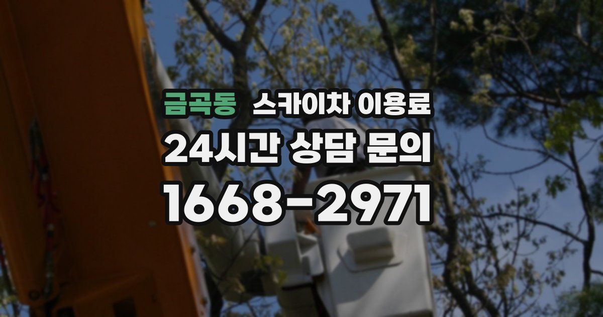 금곡동 스카이차 이용료
