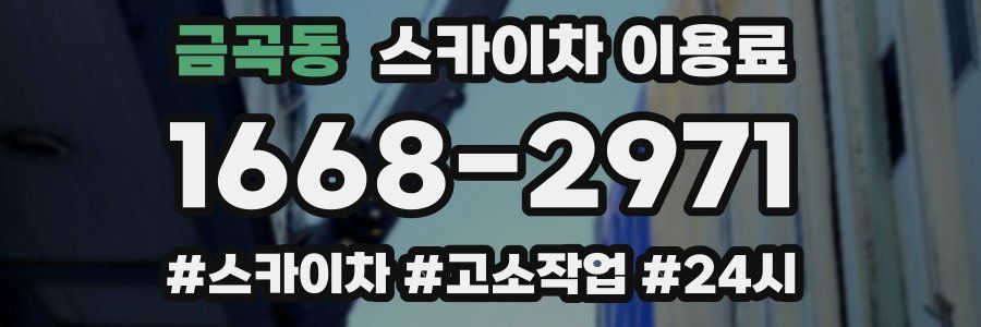 금곡동 스카이차 이용료