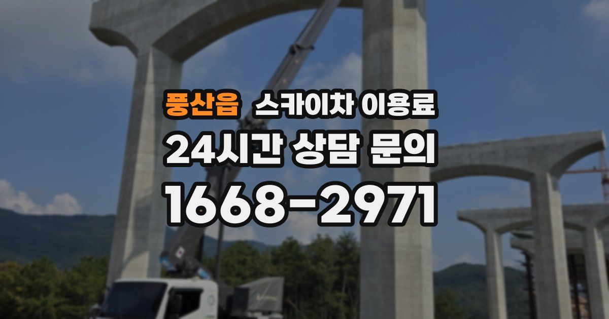 풍산읍 스카이차 이용료