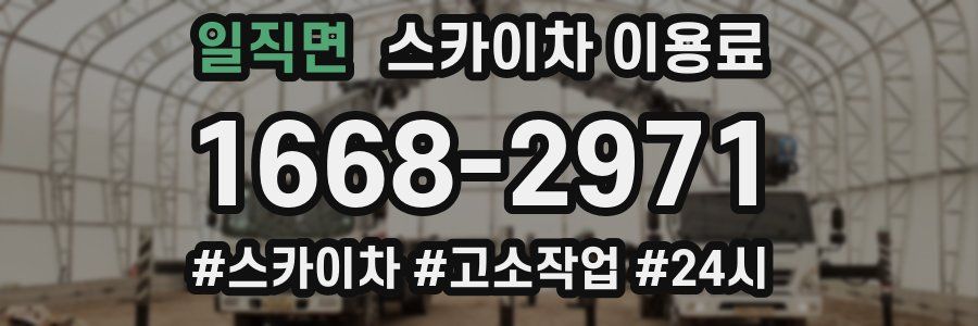 일직면 스카이차 이용료