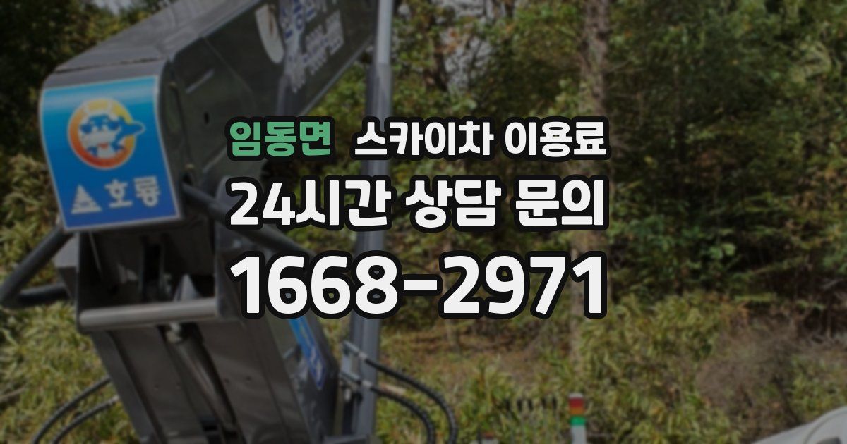 임동면 스카이차 이용료