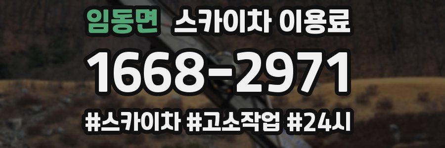임동면 스카이차 이용료