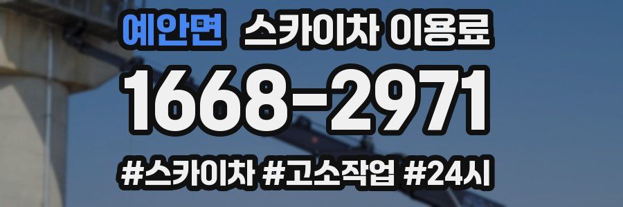 예안면 스카이차 이용료