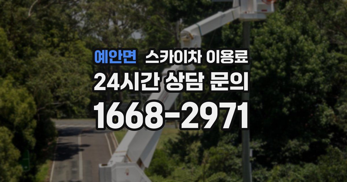 예안면 스카이차 이용료