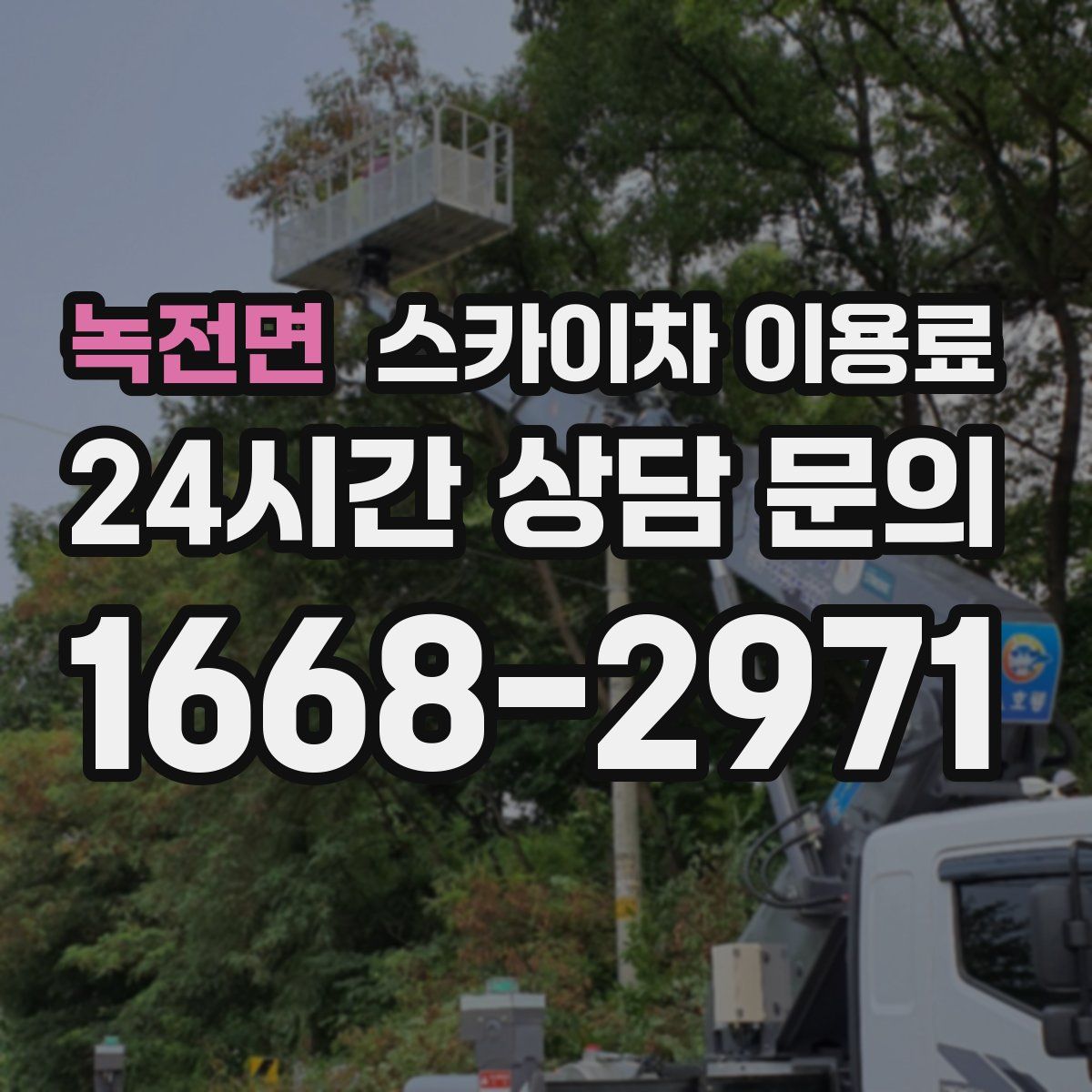 녹전면 스카이차 이용료