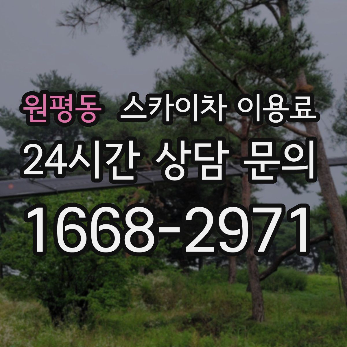 원평동 스카이차 이용료