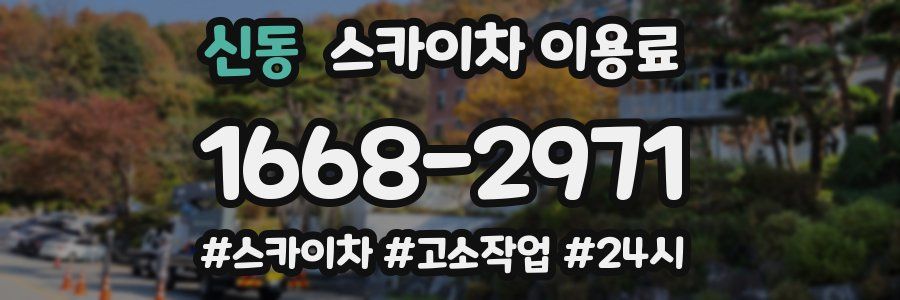 신동 스카이차 이용료