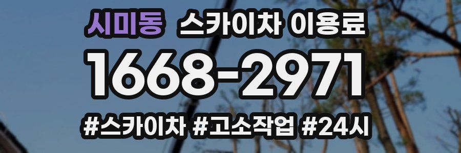 시미동 스카이차 이용료