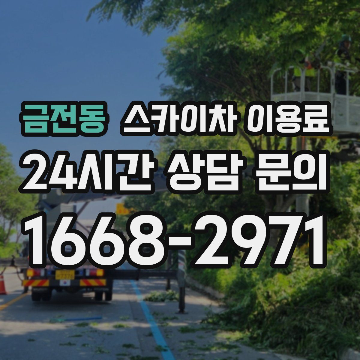 금전동 스카이차 이용료