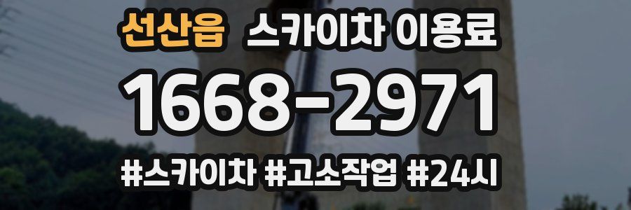 선산읍 스카이차 이용료