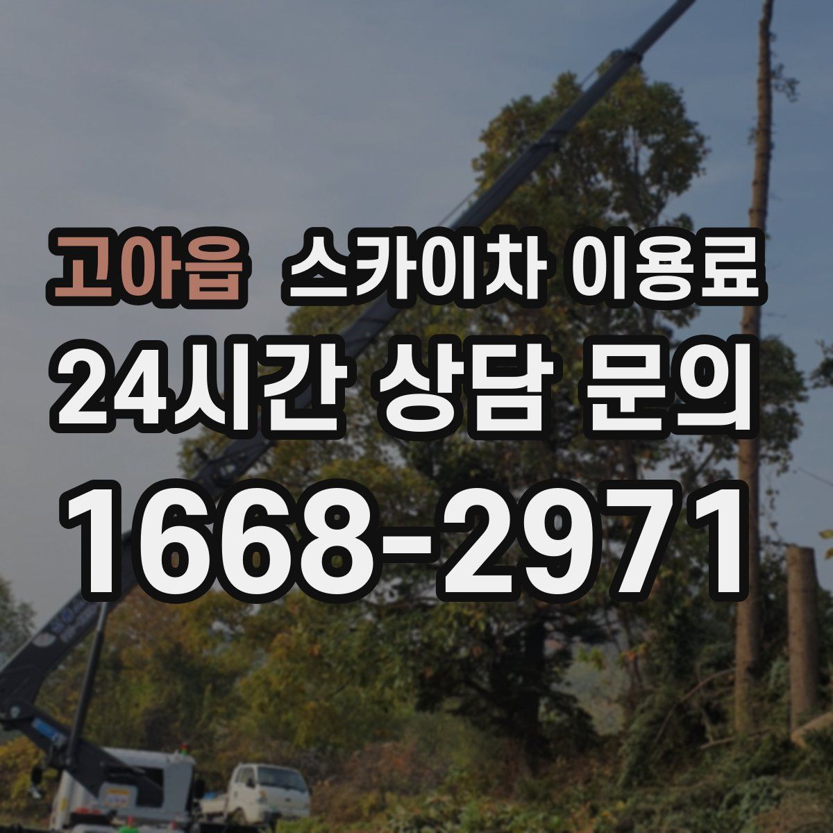 고아읍 스카이차 이용료