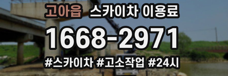 고아읍 스카이차 이용료