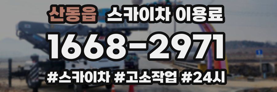 산동읍 스카이차 이용료