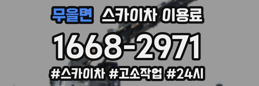무을면 스카이차 이용료