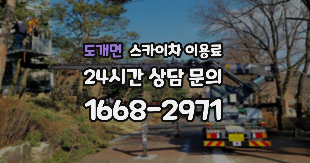 도개면 스카이차 이용료