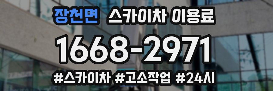 장천면 스카이차 이용료