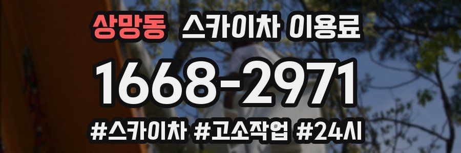 상망동 스카이차 이용료