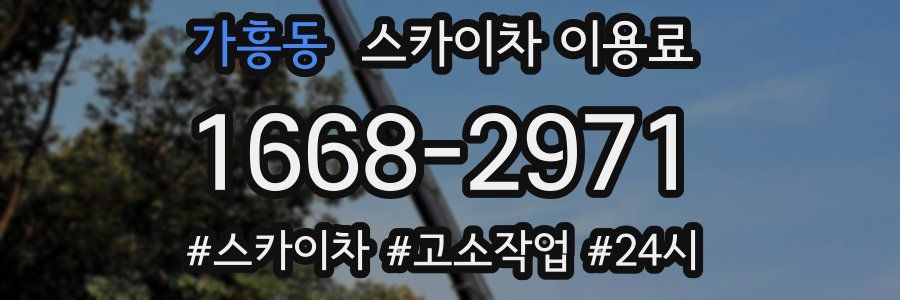 가흥동 스카이차 이용료