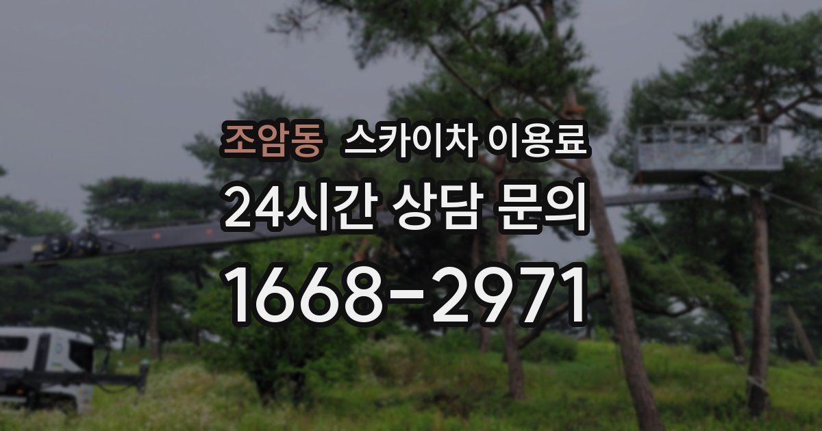 조암동 스카이차 이용료