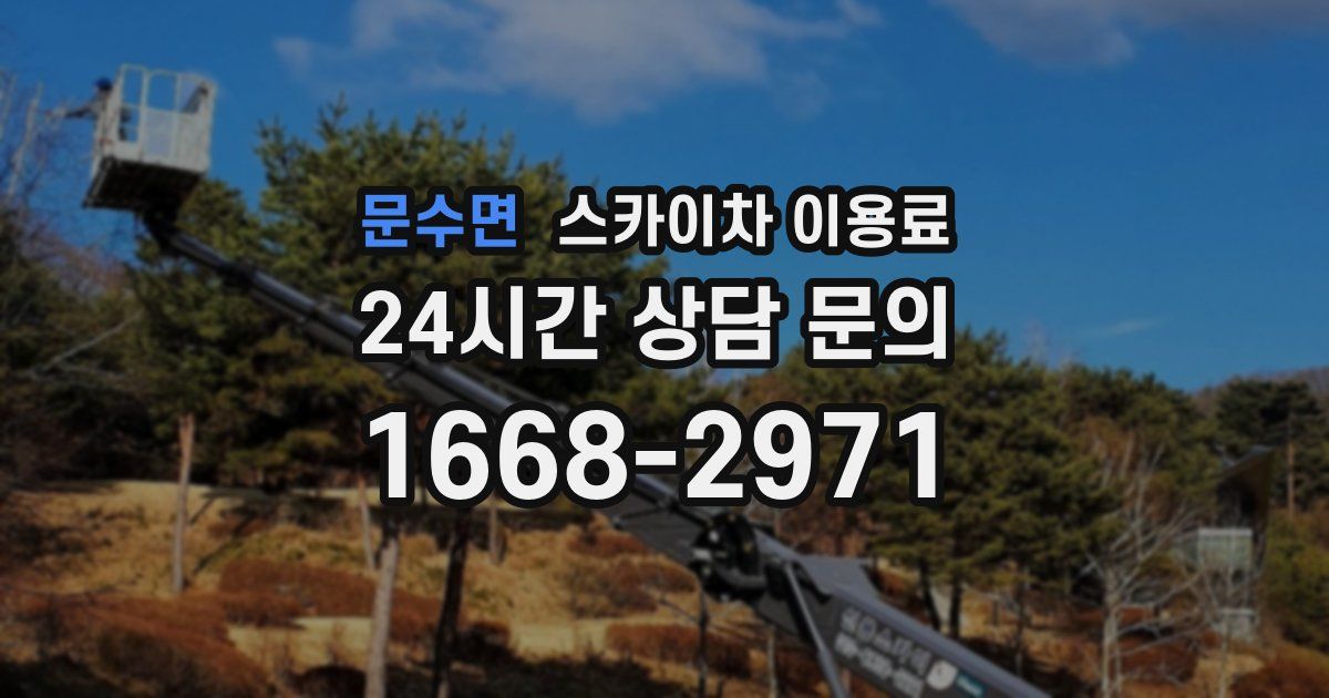 문수면 스카이차 이용료