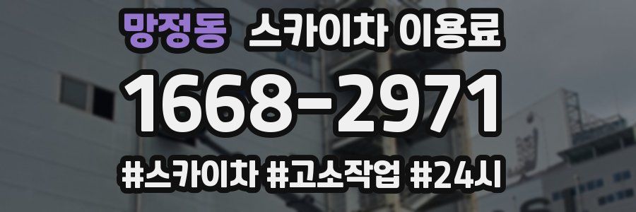 망정동 스카이차 이용료