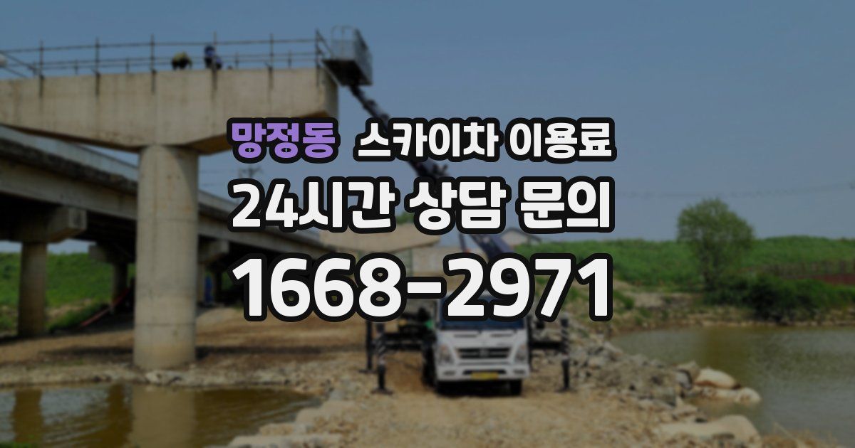망정동 스카이차 이용료