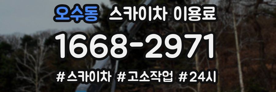 오수동 스카이차 이용료